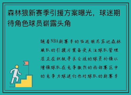 森林狼新赛季引援方案曝光，球迷期待角色球员崭露头角